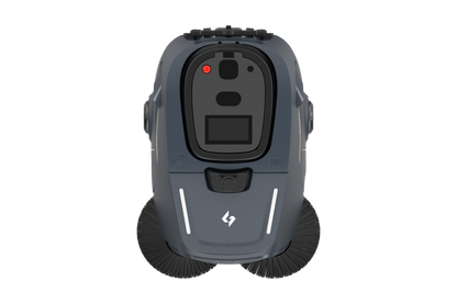 Beetle