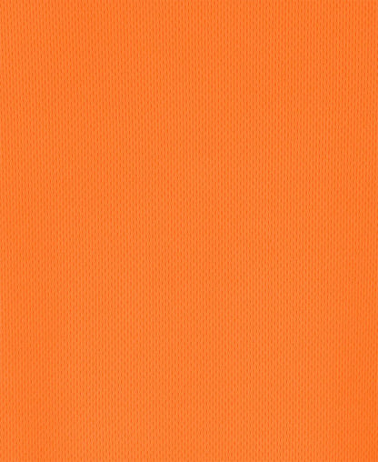 JB's Hi Vis NSW/QLD Rail Biomotion X-Back Polo Long Sleeve (JBS6DAQL)