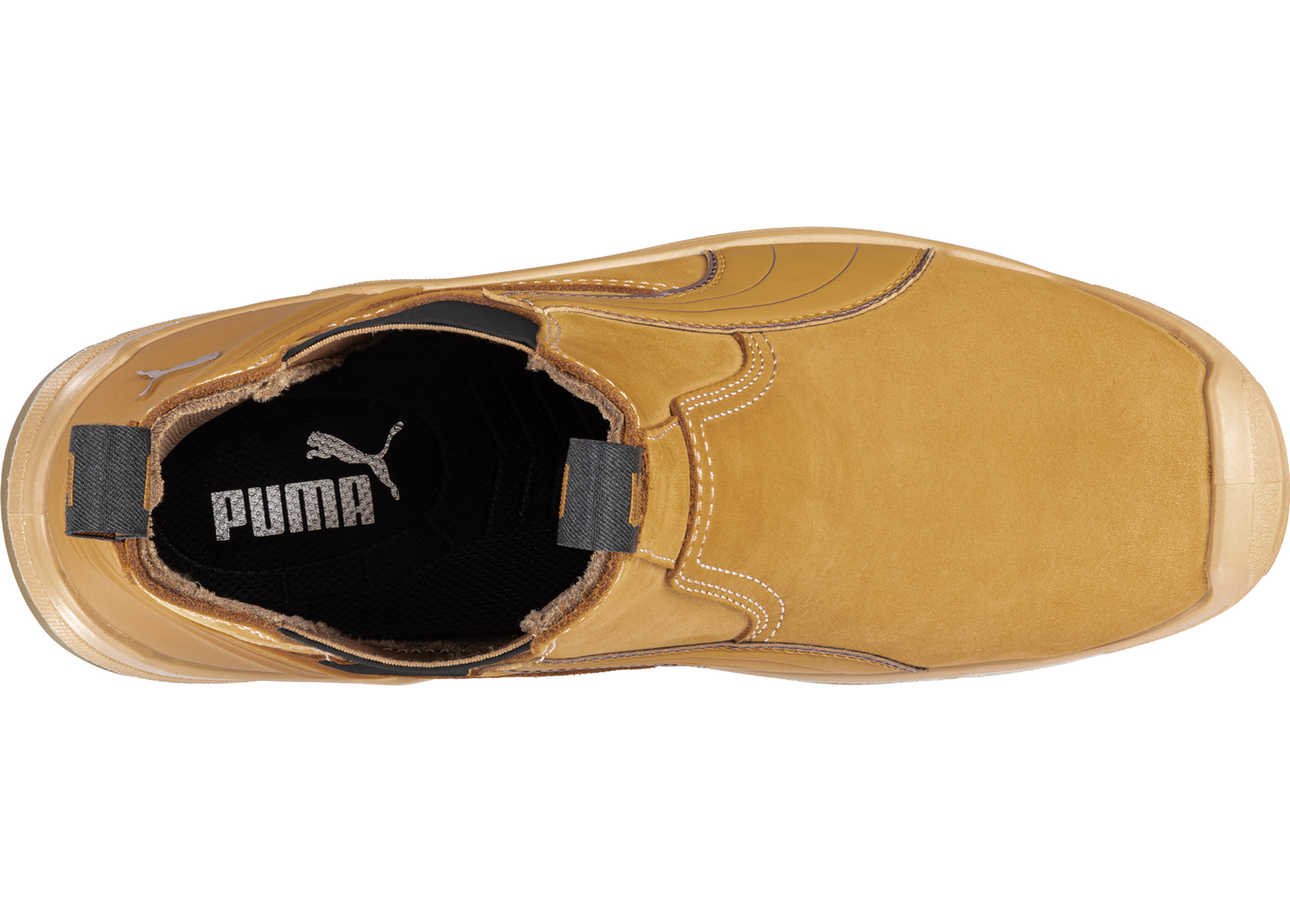 PUMA Tanami Wheat (PUM630377)